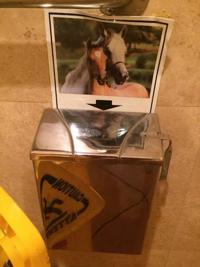 Find explanations for these photos - #36 