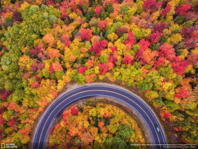 The best works from national geographic nature photographer - #16 