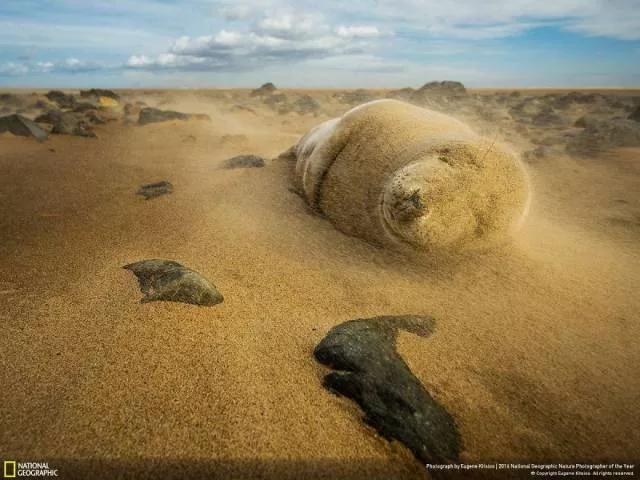 Les meilleurs ouvrages du photographe de national geographic nature - #18 