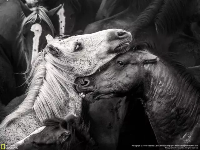 Les meilleurs ouvrages du photographe de national geographic nature - #19 