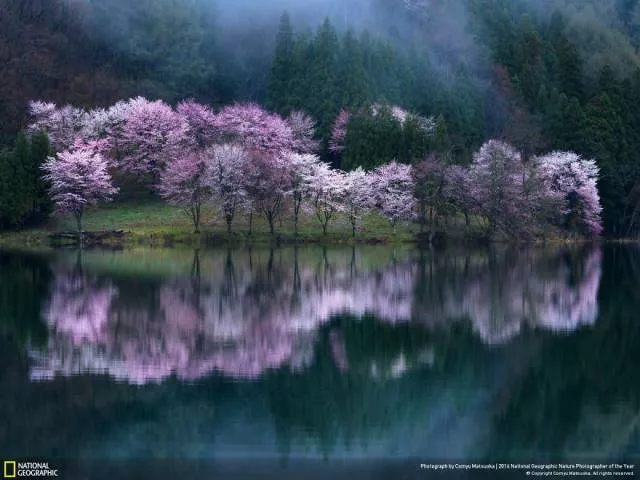 The best works from national geographic nature photographer - #21 