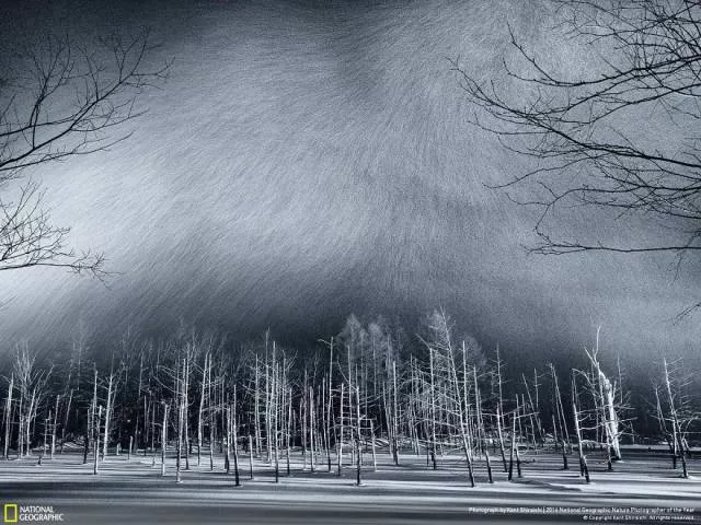 Les meilleurs ouvrages du photographe de national geographic nature - #25 