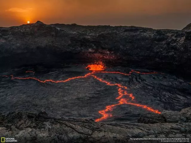The best works from national geographic nature photographer - #28 