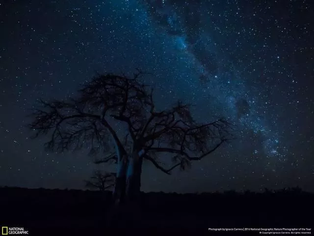 The best works from national geographic nature photographer - #30 