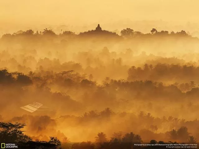 The best works from national geographic nature photographer - #36 