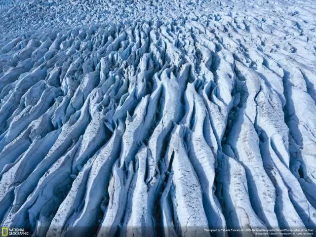 The best works from national geographic nature photographer - #39 