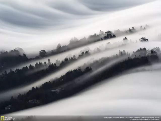 The best works from national geographic nature photographer - #7 