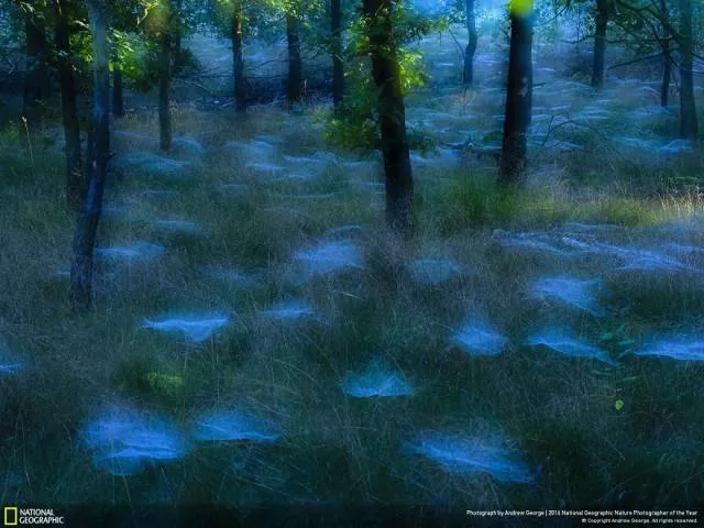 The best works from national geographic nature photographer - #9 