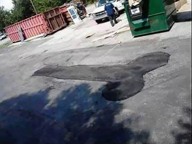 Picdump 230 - #29 