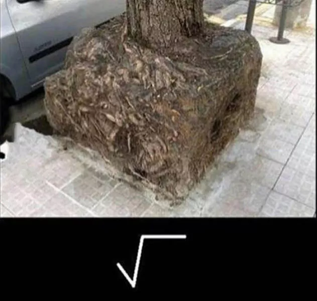Picdump 230 - #30 