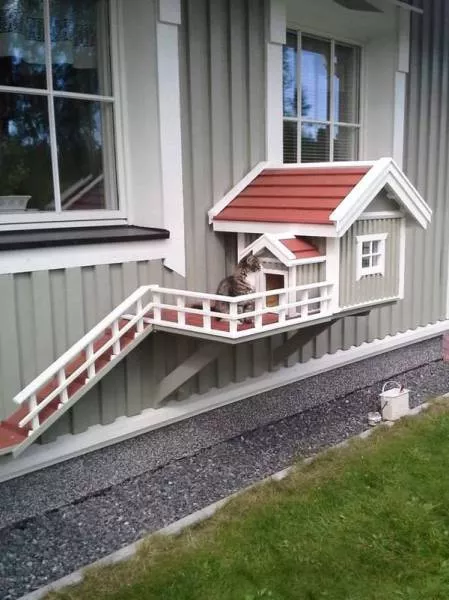 Picdump 131 - #19 