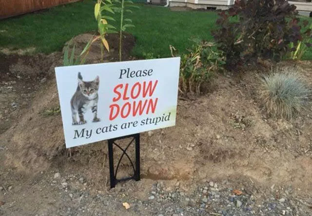 Picdump 131 - #30 