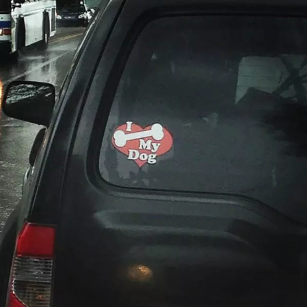 Picdump 131 - #37 