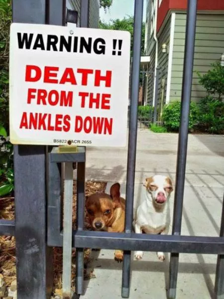 Picdump 131 - #38 