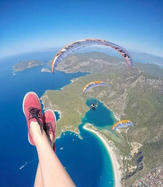 Le meilleur des photos insolites - #15 