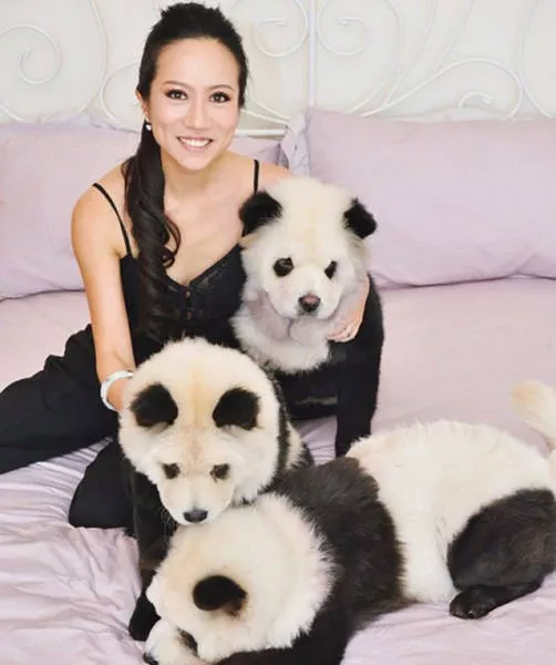 The most unusual pictures - #19 