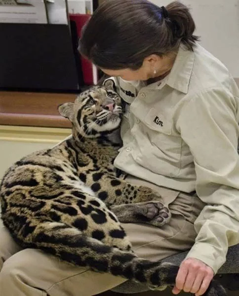 The most unusual pictures - #27 