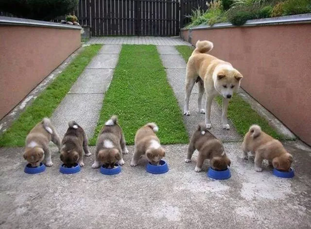 The most unusual pictures - #29 