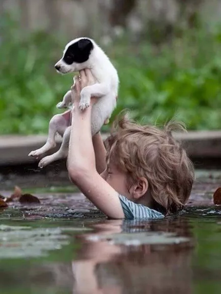 The most unusual pictures - #34 