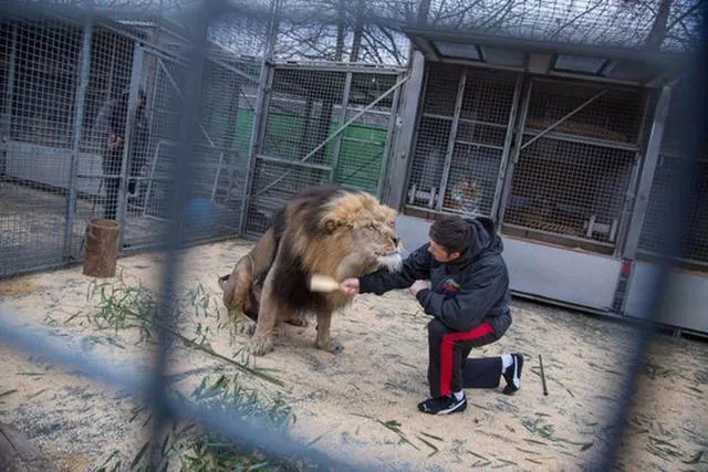The most unusual pictures - #35 