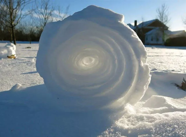 The most unusual pictures - #36 