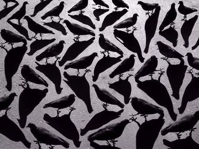 The most unusual pictures - #5 