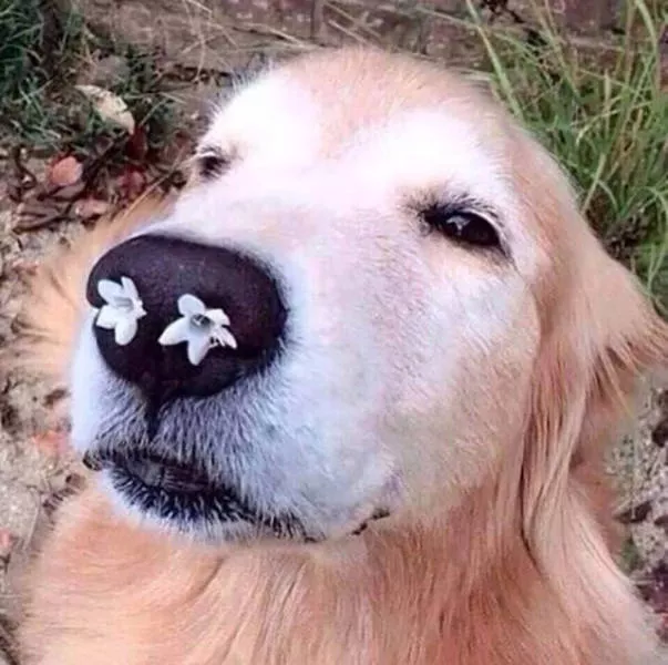 The most unusual pictures - #8 