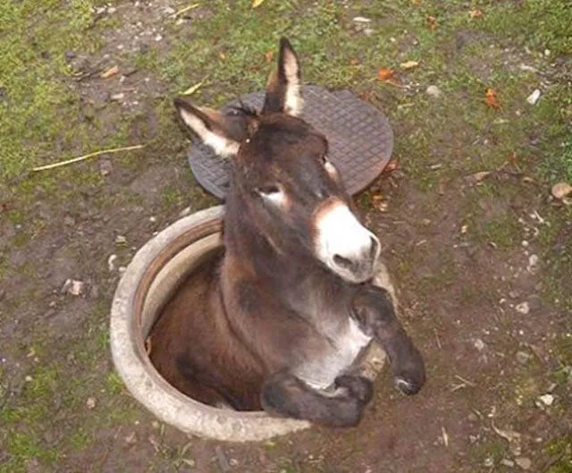 A shitty day - #29 