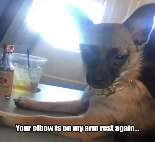 Picdump 132 - #48 