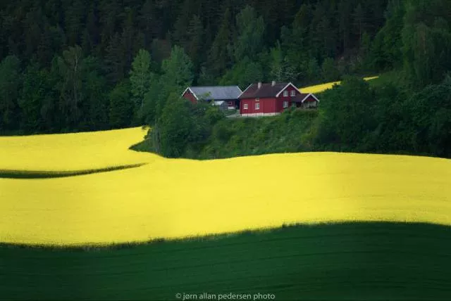 Les plus beaux endroits du monde - #22 