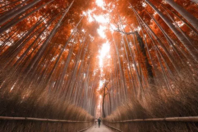 The most beautiful places in the world - #31 The most beautiful places in the world - #31