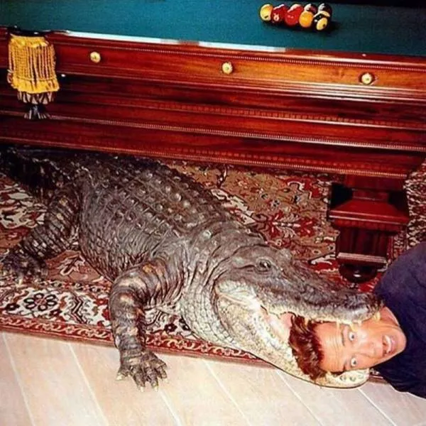 Picdump 133 - #1 