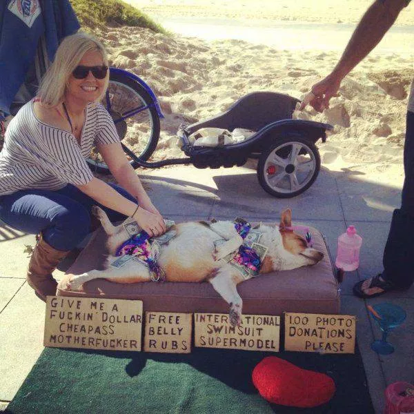 Picdump 133 - #47 