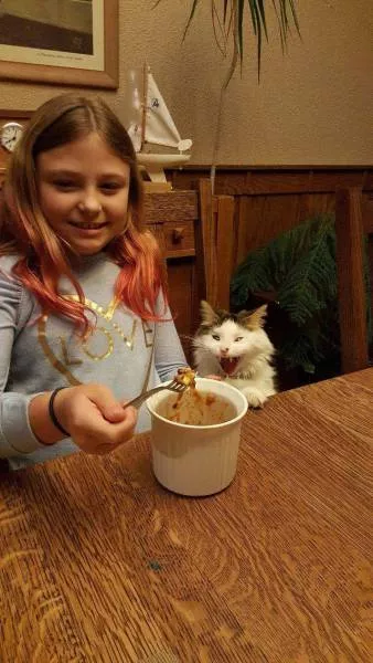 Picdump 133 - #58 