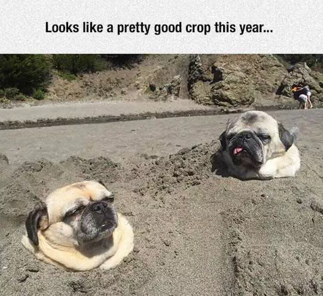 Picdump 133 - #6 