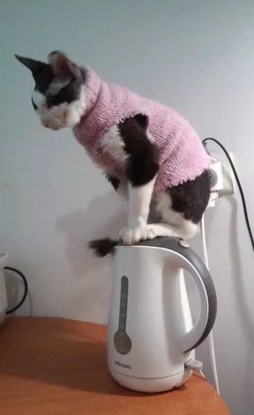 Picdump 133 - #62 