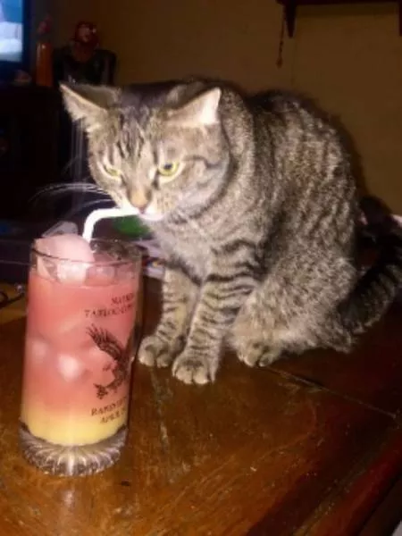 Picdump 133 - #63 