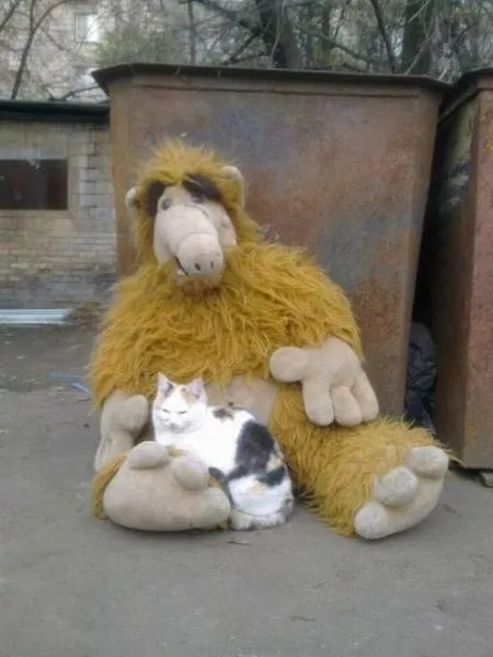 Picdump 133 - #69 
