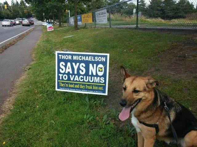 Picdump 133 - #70 