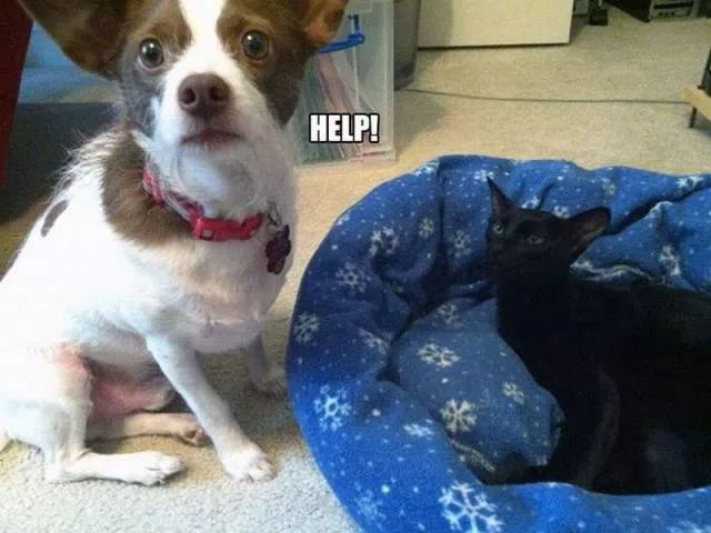 Picdump 133 - #71 