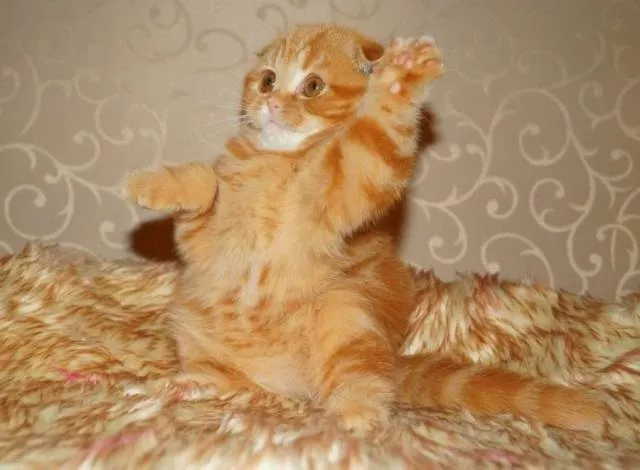 Picdump 133 - #80 