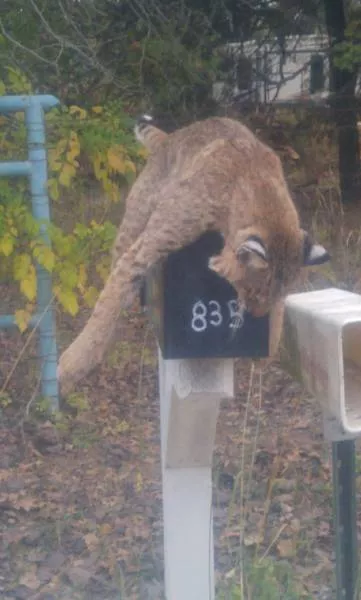 Picdump 133 - #84 