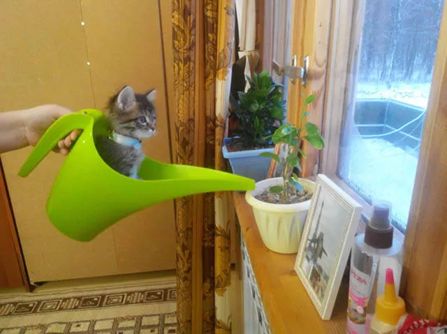 Picdump 134 - #14 Picdump 134 - #14