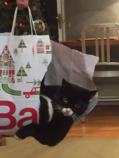 Picdump 40 - #102 