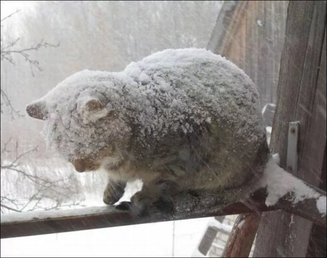 Picdump 40 - #23 
