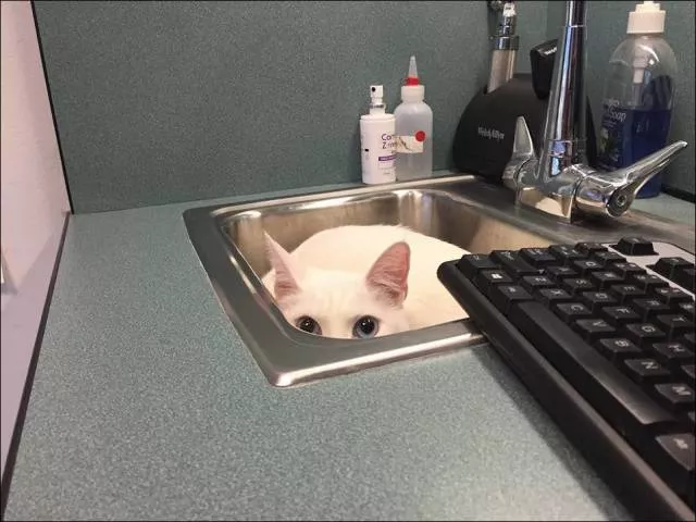 Picdump 40 - #31 
