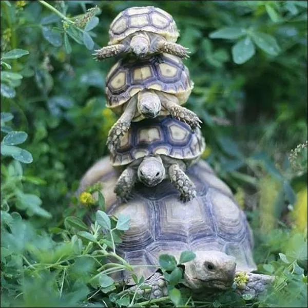 Picdump 40 - #36 