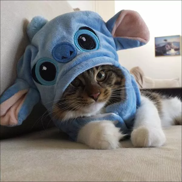 Picdump 40 - #37 