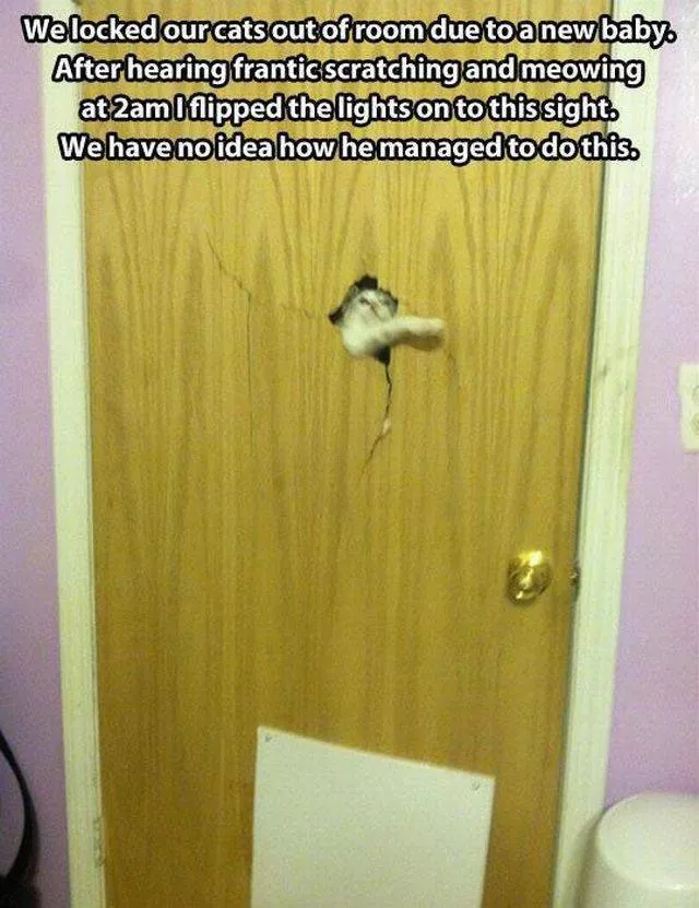 Picdump 40 - #43 