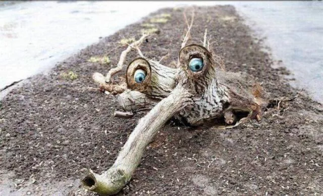 Picdump 40 - #54 